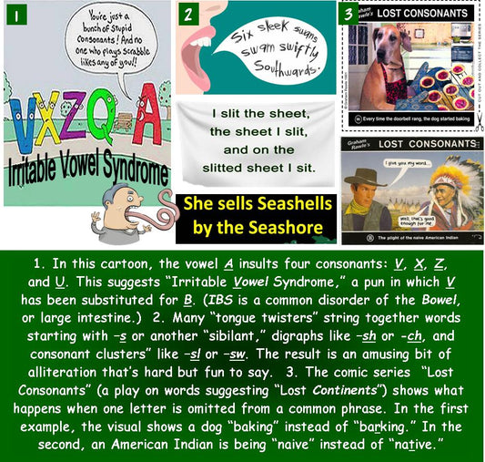 Why Care About Consonants?