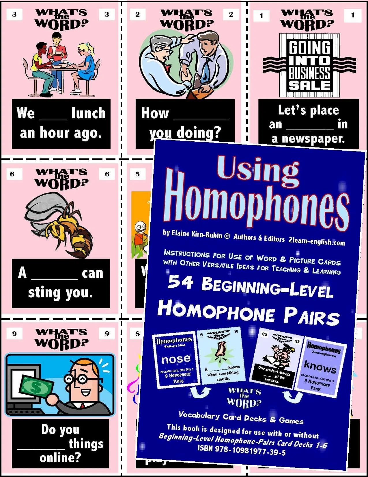 C-05a Using Homophones 32 Page Beginning Activities & Ideas Book + 9 Pair Card Decks 1-6 (Print Version + Shipping)