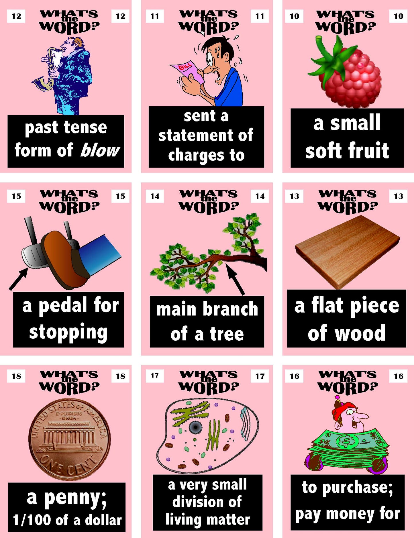 C-05.06 Get & Use Five 18-Pair Intermediate Homophones Card Decks