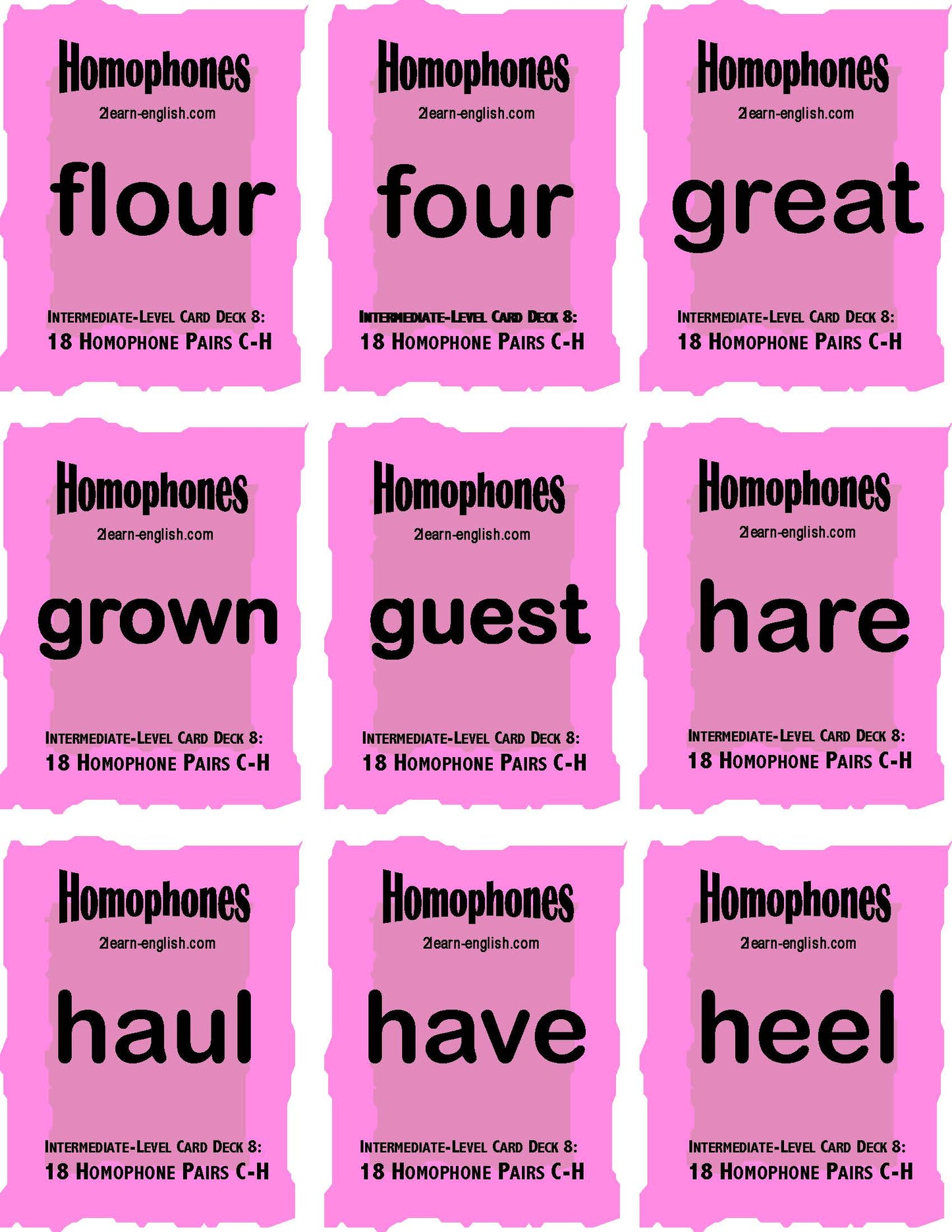 C-05.05 Homophones, Intermediate 18 Pairs + 44-Page Book