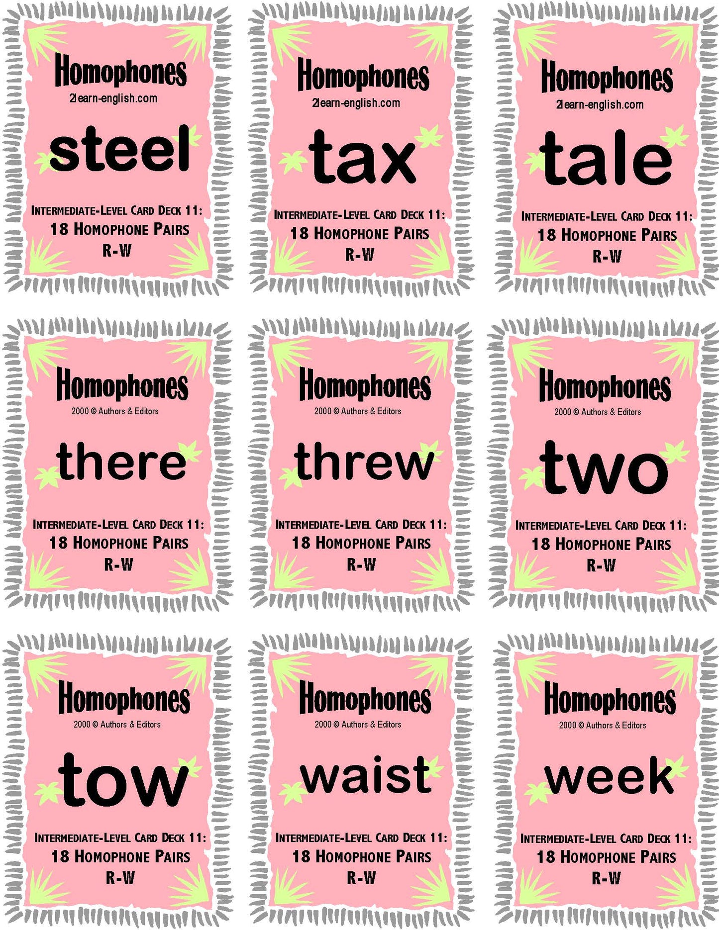 C-05.05 Homophones, Intermediate 18 Pairs + 44-Page Book